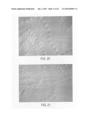 Reduced ply separation tail seal diagram and image