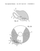 Reduced ply separation tail seal diagram and image