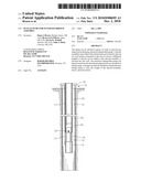 PLUG IN PUMP FOR INVERTED SHROUD ASSEMBLY diagram and image