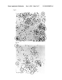 Sintered Oxide Compact Target for Sputtering and Process for Producing the same diagram and image