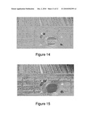 HIGH LINEAR DYNAMIC RANGE IMAGING diagram and image