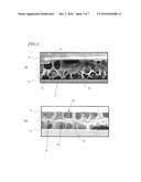 LIQUID CRYSTAL DISPLAY diagram and image