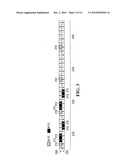 SYSTEMS AND METHODS FOR ASSIGNMENT AND ALLOCATION OF MIXED-TYPE COMBINATIONS OF SLOTS diagram and image