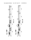 SYSTEMS AND METHODS FOR ASSIGNMENT AND ALLOCATION OF MIXED-TYPE COMBINATIONS OF SLOTS diagram and image