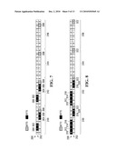 SYSTEMS AND METHODS FOR ASSIGNMENT AND ALLOCATION OF MIXED-TYPE COMBINATIONS OF SLOTS diagram and image