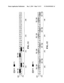 SYSTEMS AND METHODS FOR ASSIGNMENT AND ALLOCATION OF MIXED-TYPE COMBINATIONS OF SLOTS diagram and image