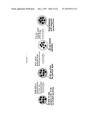 SWITCHABLE NANO-VEHICLE DELIVERY SYSTEMS, AND METHODS FOR MAKING AND USING THEM diagram and image