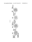 SWITCHABLE NANO-VEHICLE DELIVERY SYSTEMS, AND METHODS FOR MAKING AND USING THEM diagram and image