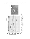 SWITCHABLE NANO-VEHICLE DELIVERY SYSTEMS, AND METHODS FOR MAKING AND USING THEM diagram and image