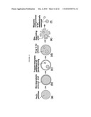 SWITCHABLE NANO-VEHICLE DELIVERY SYSTEMS, AND METHODS FOR MAKING AND USING THEM diagram and image