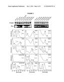 CYANOCHROME FLUOROPHORES diagram and image