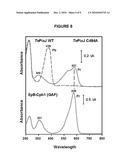 CYANOCHROME FLUOROPHORES diagram and image