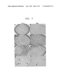 TSP-1, TSP-2, IL-17BR AND HB-EGF ASSOCIATED WITH STEM CELL ACTIVITY AND USE THEREOF diagram and image