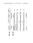 NOVEL THERAPEUTICS BASED ON TAU/MICROTUBULE DYNAMICS diagram and image