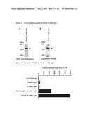 Recombinant multiple domain fusion protein mitogens and use thereof for inducing enhancement or repression of antigen-specific immunity. diagram and image