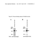 Recombinant multiple domain fusion protein mitogens and use thereof for inducing enhancement or repression of antigen-specific immunity. diagram and image