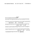 Antibodies Against a Cancer-Associated Epitope of Variant HNRNPG and Uses Thereof diagram and image