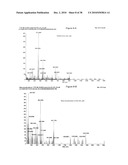 Antibodies Against a Cancer-Associated Epitope of Variant HNRNPG and Uses Thereof diagram and image