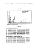 Antibodies Against a Cancer-Associated Epitope of Variant HNRNPG and Uses Thereof diagram and image