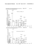 Antibodies Against a Cancer-Associated Epitope of Variant HNRNPG and Uses Thereof diagram and image