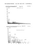 Antibodies Against a Cancer-Associated Epitope of Variant HNRNPG and Uses Thereof diagram and image