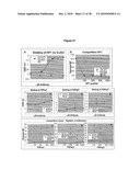 Antibodies Against a Cancer-Associated Epitope of Variant HNRNPG and Uses Thereof diagram and image