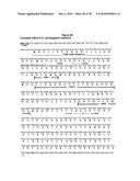 Antibodies Against a Cancer-Associated Epitope of Variant HNRNPG and Uses Thereof diagram and image