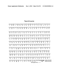 Antibodies Against a Cancer-Associated Epitope of Variant HNRNPG and Uses Thereof diagram and image