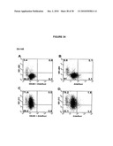 Antibodies Against a Cancer-Associated Epitope of Variant HNRNPG and Uses Thereof diagram and image