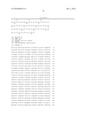 Antibodies Against a Cancer-Associated Epitope of Variant HNRNPG and Uses Thereof diagram and image