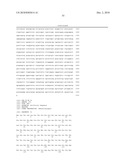 Antibodies Against a Cancer-Associated Epitope of Variant HNRNPG and Uses Thereof diagram and image