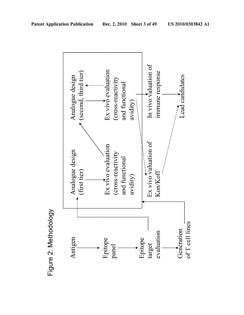 PEPTIDE ANALOGUES - diagram, schematic, and image 04