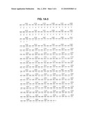 NOVEL GENE EXPRESSED IN PROSTATE CANCER diagram and image