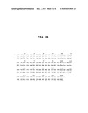 NOVEL GENE EXPRESSED IN PROSTATE CANCER diagram and image