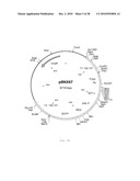 INTERGENIC REGIONS AS INSERTION SITES IN THE GENOME OF MODIFIED VACCINIA VIRUS ANKARA (MVA) diagram and image