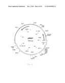 INTERGENIC REGIONS AS INSERTION SITES IN THE GENOME OF MODIFIED VACCINIA VIRUS ANKARA (MVA) diagram and image