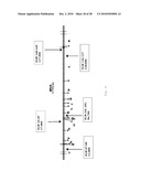 INTERGENIC REGIONS AS INSERTION SITES IN THE GENOME OF MODIFIED VACCINIA VIRUS ANKARA (MVA) diagram and image