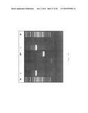 INTERGENIC REGIONS AS INSERTION SITES IN THE GENOME OF MODIFIED VACCINIA VIRUS ANKARA (MVA) diagram and image