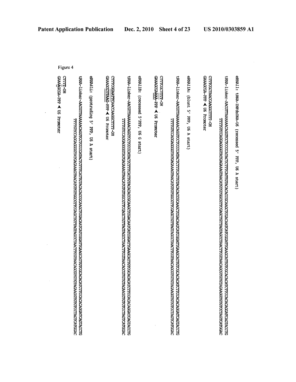 VECTORS AND METHOD FOR GENETIC IMMUNIZATION - diagram, schematic, and image 05