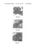  Live Attenuated Vaccine Strain for Prevention of Tularemia diagram and image