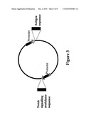  A COMPOSITION COMPRISING A NOTCH LIGAND AND AN ALLERGENB OR ALLERGEN BYSTANDER ANTIGEN diagram and image