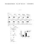 EX VIVO, FAST AND EFFICIENT PROCESS TO OBTAIN ACTIVATED ANTIGEN-PRESENTING CELLS THAT ARE USEFUL FOR THERAPIES AGAINST CANCER AND IMMUNE SYSTEM-RELATED DISEASES diagram and image