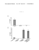 EX VIVO, FAST AND EFFICIENT PROCESS TO OBTAIN ACTIVATED ANTIGEN-PRESENTING CELLS THAT ARE USEFUL FOR THERAPIES AGAINST CANCER AND IMMUNE SYSTEM-RELATED DISEASES diagram and image