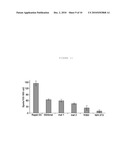 EX VIVO, FAST AND EFFICIENT PROCESS TO OBTAIN ACTIVATED ANTIGEN-PRESENTING CELLS THAT ARE USEFUL FOR THERAPIES AGAINST CANCER AND IMMUNE SYSTEM-RELATED DISEASES diagram and image