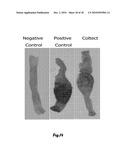 TABLET WITH REMEDIAL COMPOSITION AND METHODS FOR TREATING MEDICAL DISORDERS AND AILMENTS diagram and image