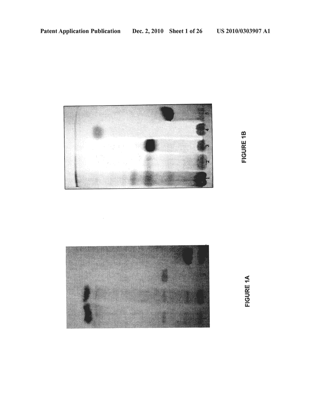 STANDARDIZED PLANT EXTRACT, PROCESS FOR OBTAINING THE SAME AND USES THEREOF - diagram, schematic, and image 02