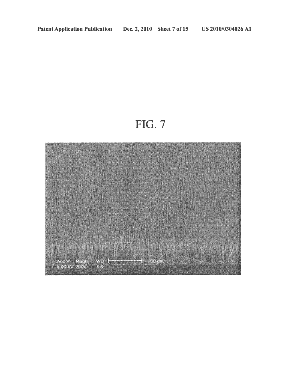 Method and Apparatus for Manufacturing a Nanowire - diagram, schematic, and image 08