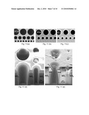 FABRICATION OF HIGH ASPECT RATIO FEATURES IN A GLASS LAYER BY ETCHING diagram and image