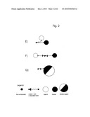 COMPONENTS AND METHOD FOR ENZYMATIC SYNTHESIS OF NUCLEIC ACIDS diagram and image