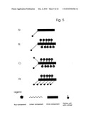 COMPONENTS AND METHOD FOR ENZYMATIC SYNTHESIS OF NUCLEIC ACIDS diagram and image